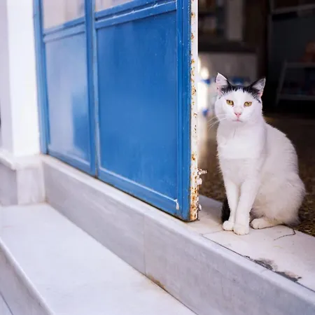 Beautiful Paros 2 Bedroom Nirvana Breathtaking Sea Views 빌라 리바디아